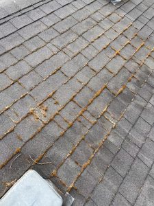 Roof Maintenance and Cleaning in Washington