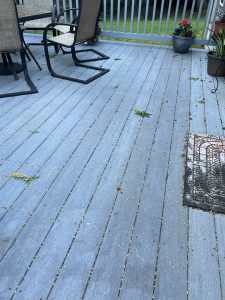 Roof Maintenance and Cleaning in Washington