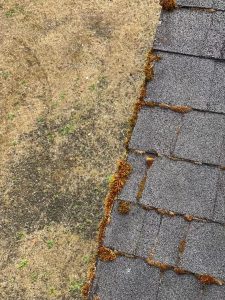 Roof Maintenance and Cleaning in Washington